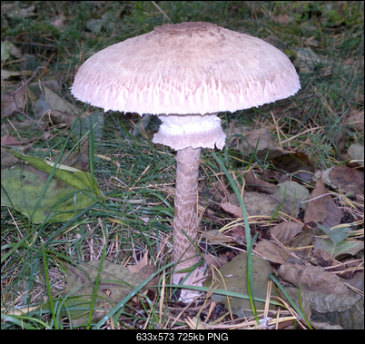 -2012-10-09-09-25-45.png