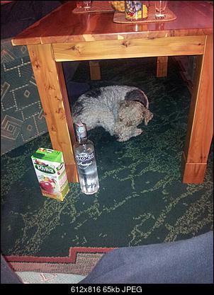 IMPREZKA ON-LINE II (tylko powyzej 18 lat) !!-uploadfromtaptalk1351354768089.jpg