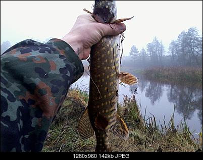 Na ryby.-zdjecie0187.jpg