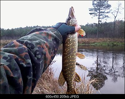 Na ryby.-zdjecie0189.jpg