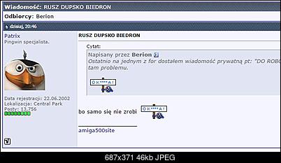 -przechwytywanie.jpg