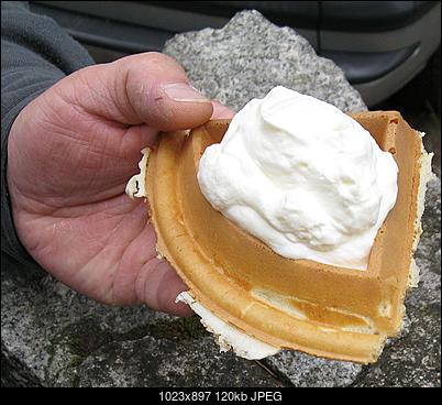 Zlot 2015-gofry.jpg