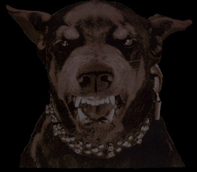 Do posiadaczy XP- jaki styl??????-dog-1-.jpg