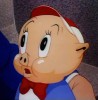 Avatar uytkownika porky
